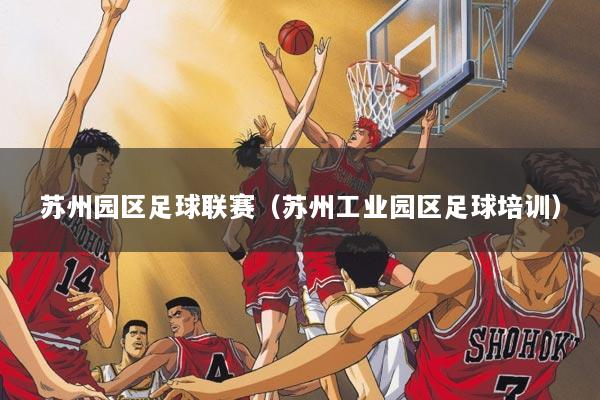 苏州园区足球联赛（苏州工业园区足球培训）