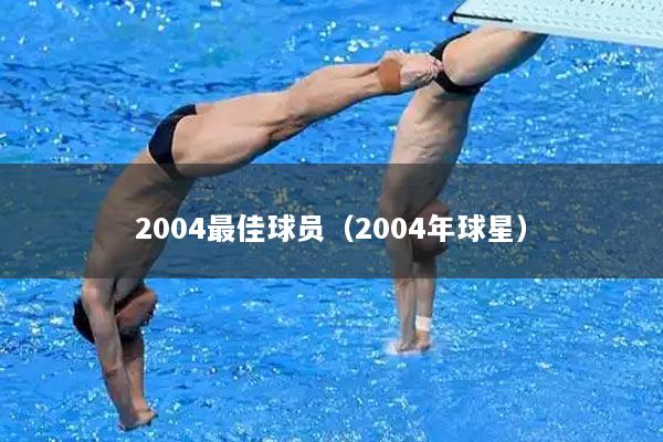 2004最佳球员（2004年球星）