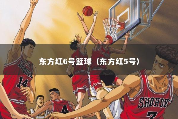 东方红6号篮球（东方红5号）