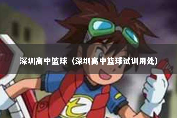 深圳高中篮球（深圳高中篮球试训用处）