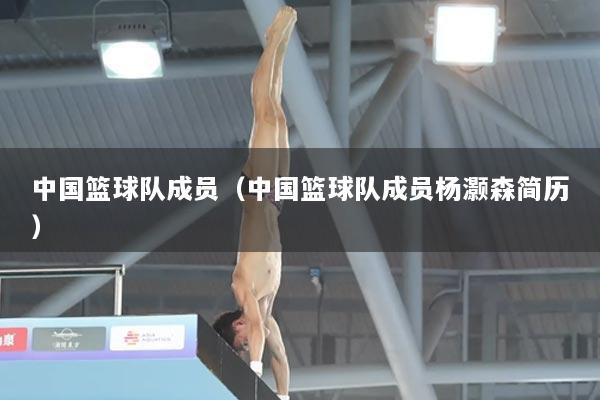 中国篮球队成员（中国篮球队成员杨灏森简历）