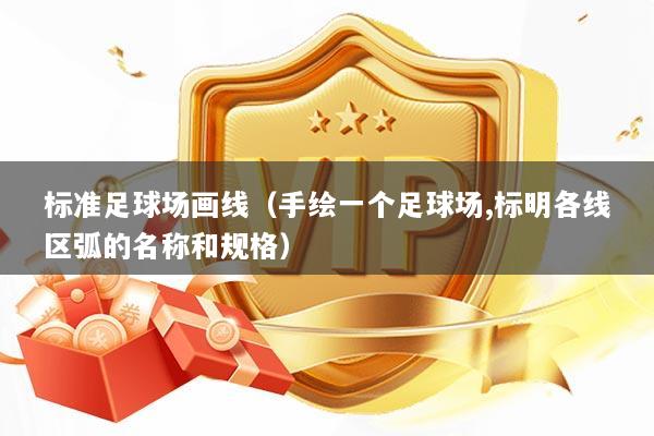 标准足球场画线（手绘一个足球场,标明各线区弧的名称和规格）
