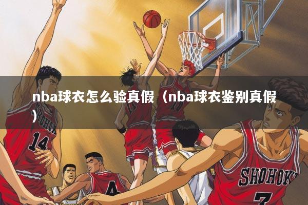 nba球衣怎么验真假（nba球衣鉴别真假）